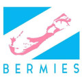 bermies-discount-code